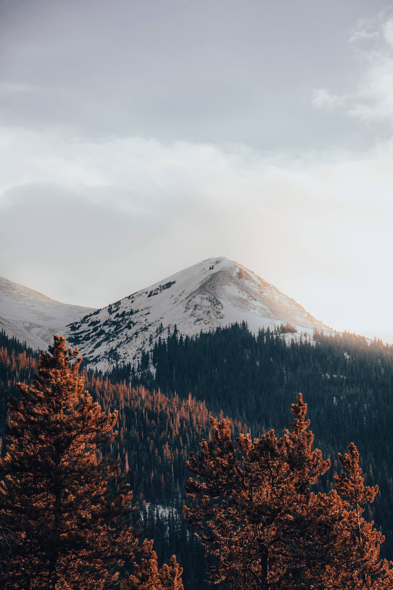 Golden Hour